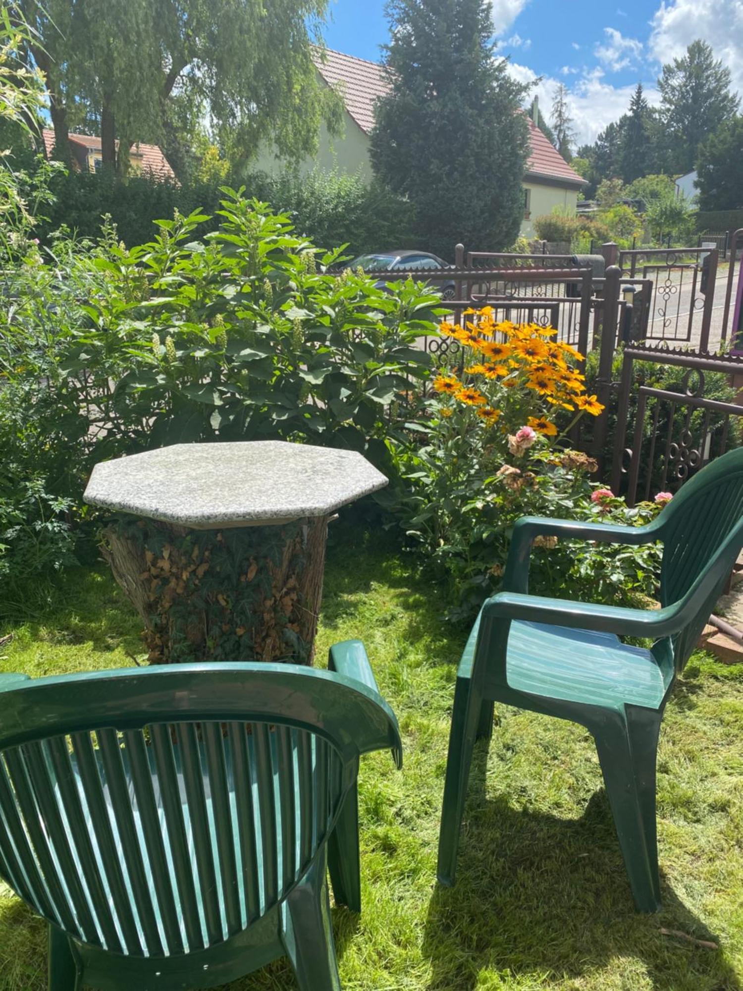 Haus Heiken Apartment Lavendel Altenburg Exteriér fotografie